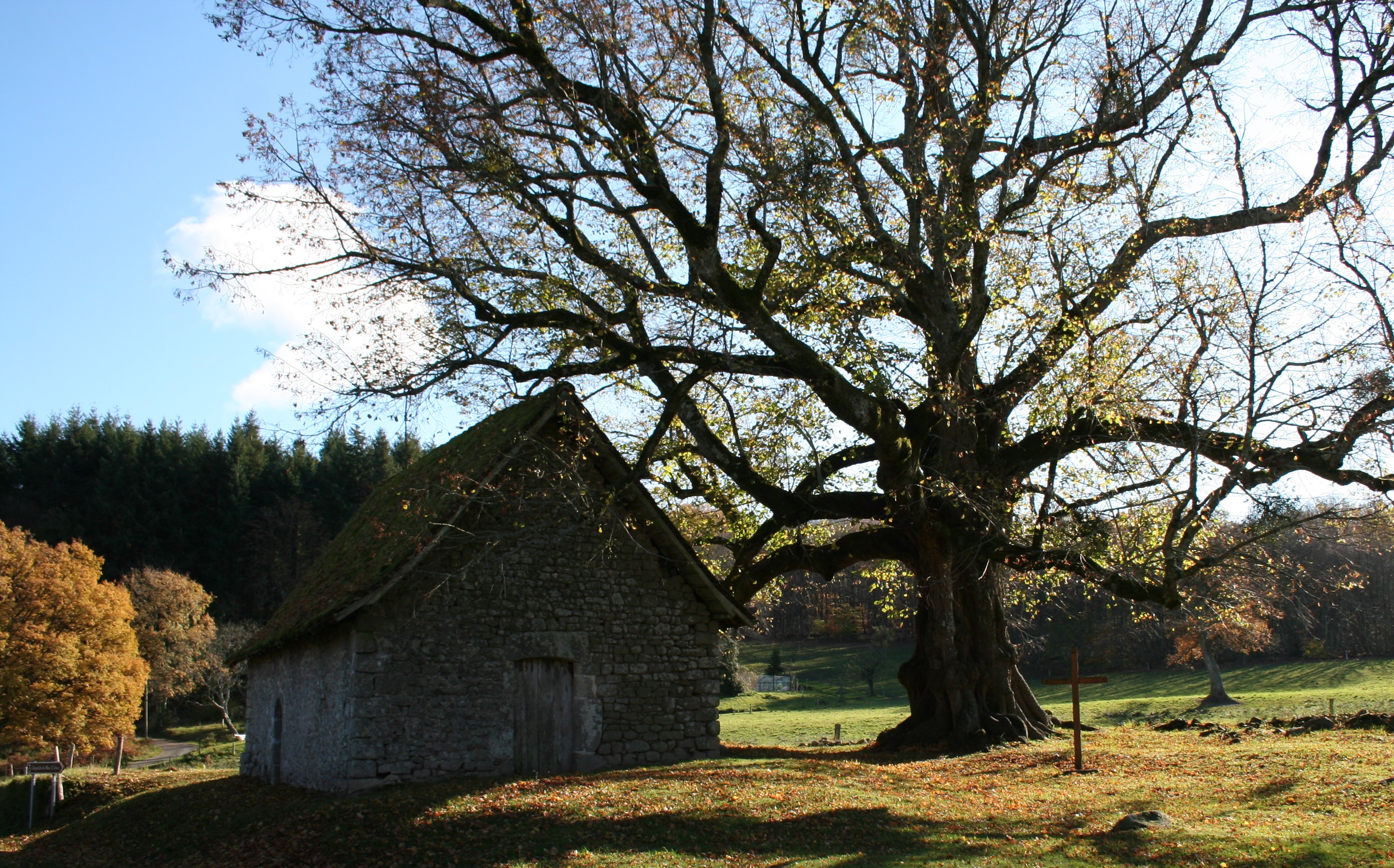 Le Bois de Chabannes