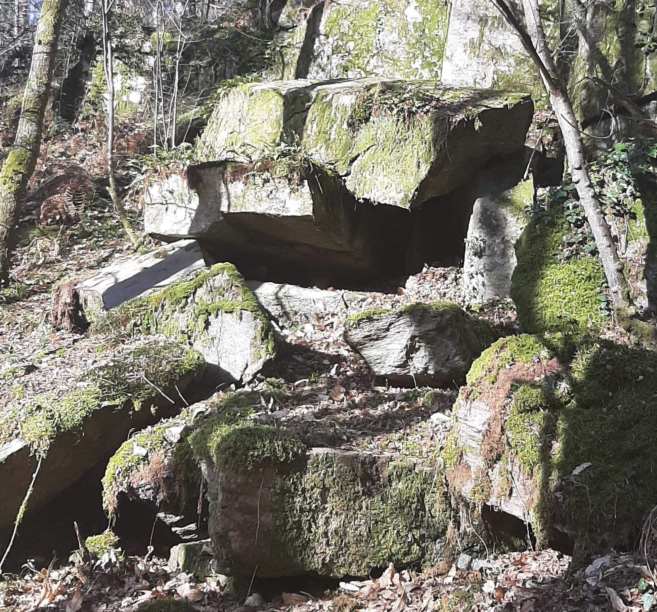 Les combes de la Cazine