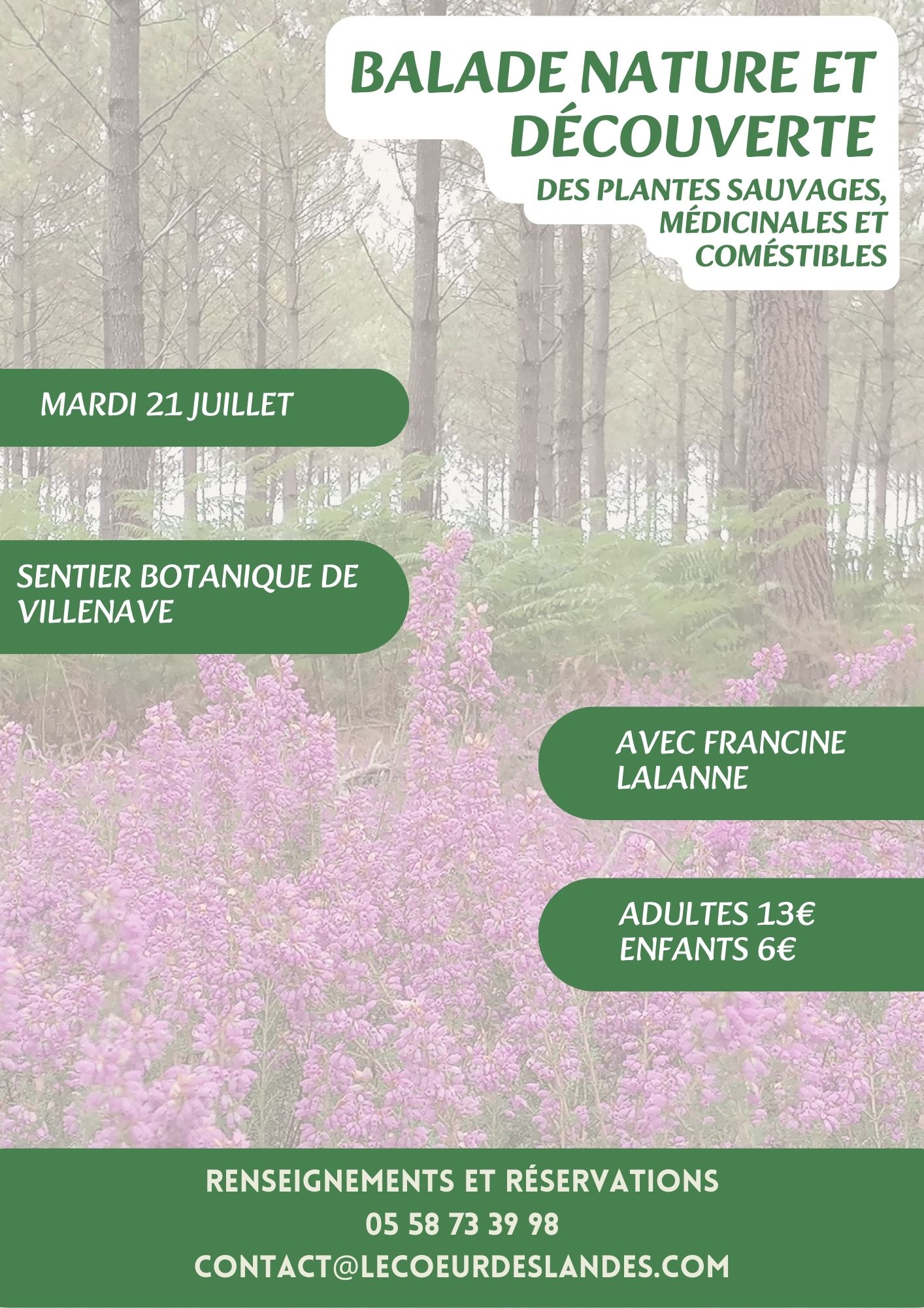 A la découverte des plantes sauvages, médicinales et comestibles avec Francine