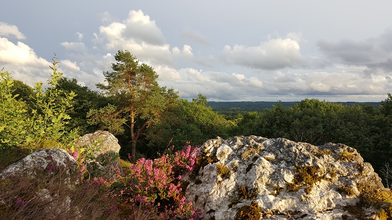 Les landes de la Butte de Frochet