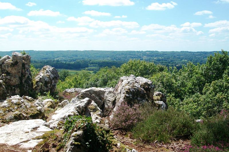 Les landes de la Butte de Frochet