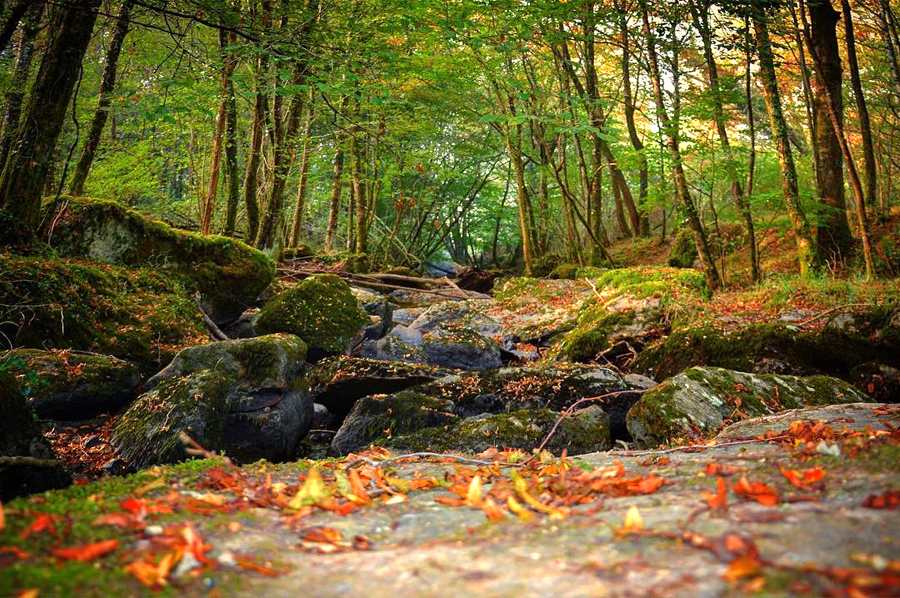 Les Rochers de l'Isop