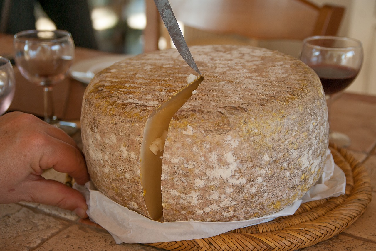 EARL Terres de Ciel - légumes, œufs, fromage de brebis en biodynamie