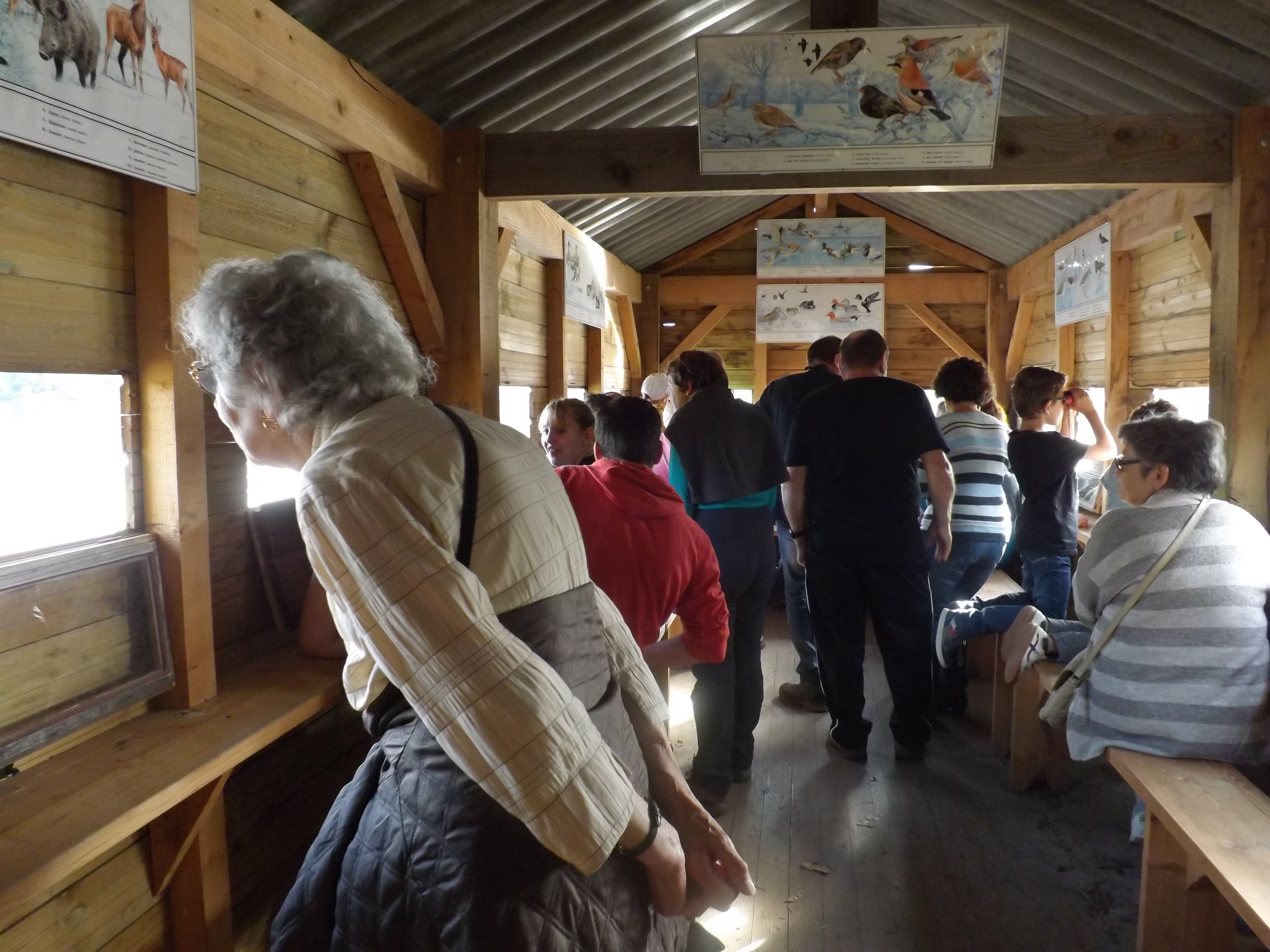 L'étang de Murat, observatoire ornithologique