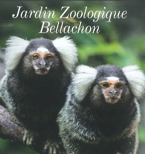 Jardin Zoologique Bellachon