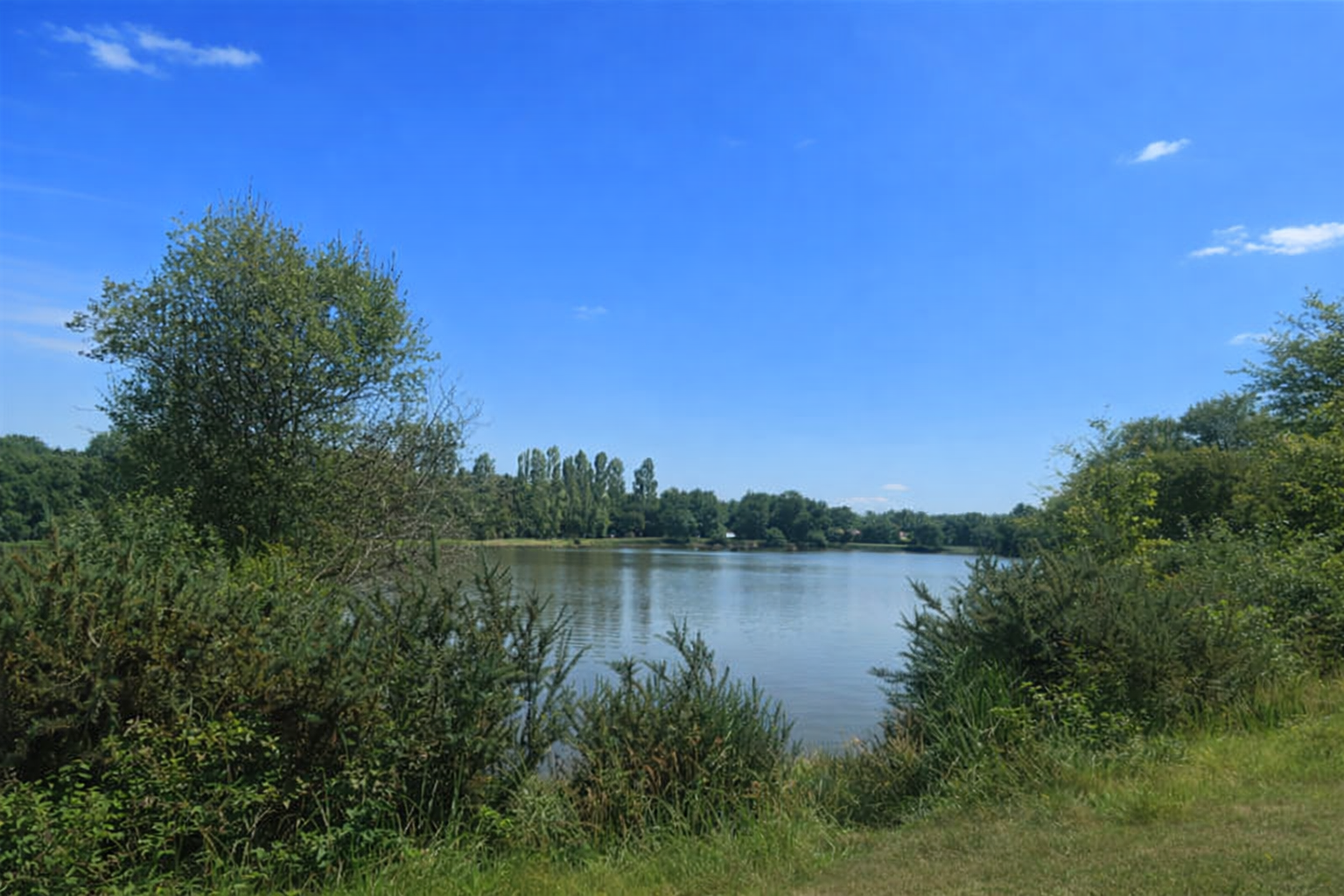 Etang d'Enjouran (Tessonnière)