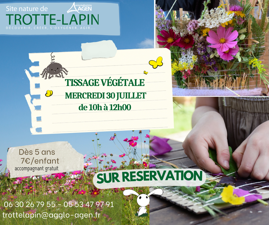 Animation nature en famille : Tissage Végétal