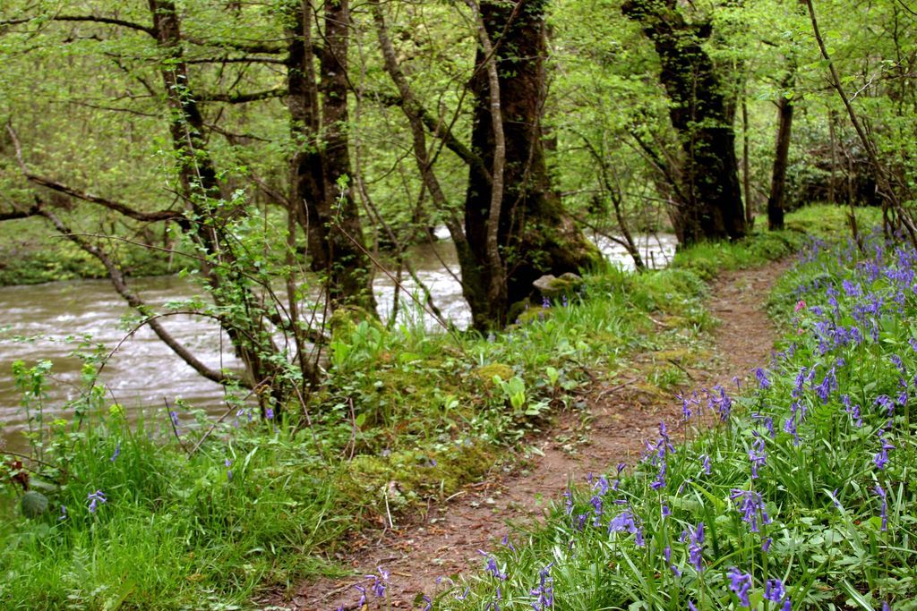 Les Gorges de la Voueize