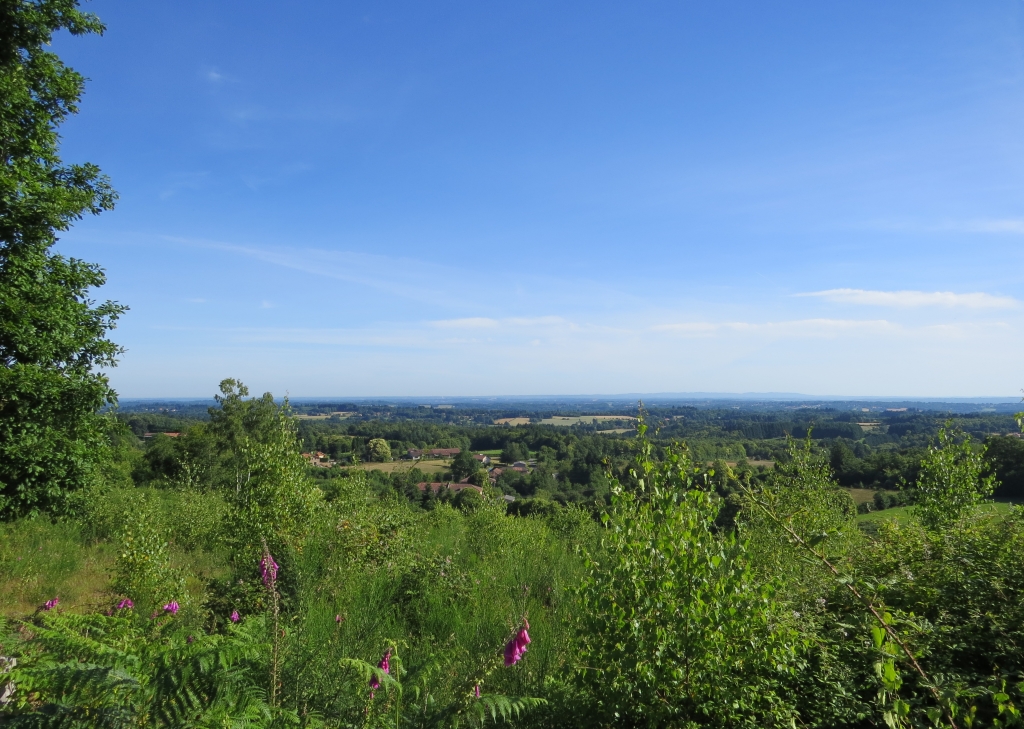 Point de vue aménagé - Forêt de Boubon