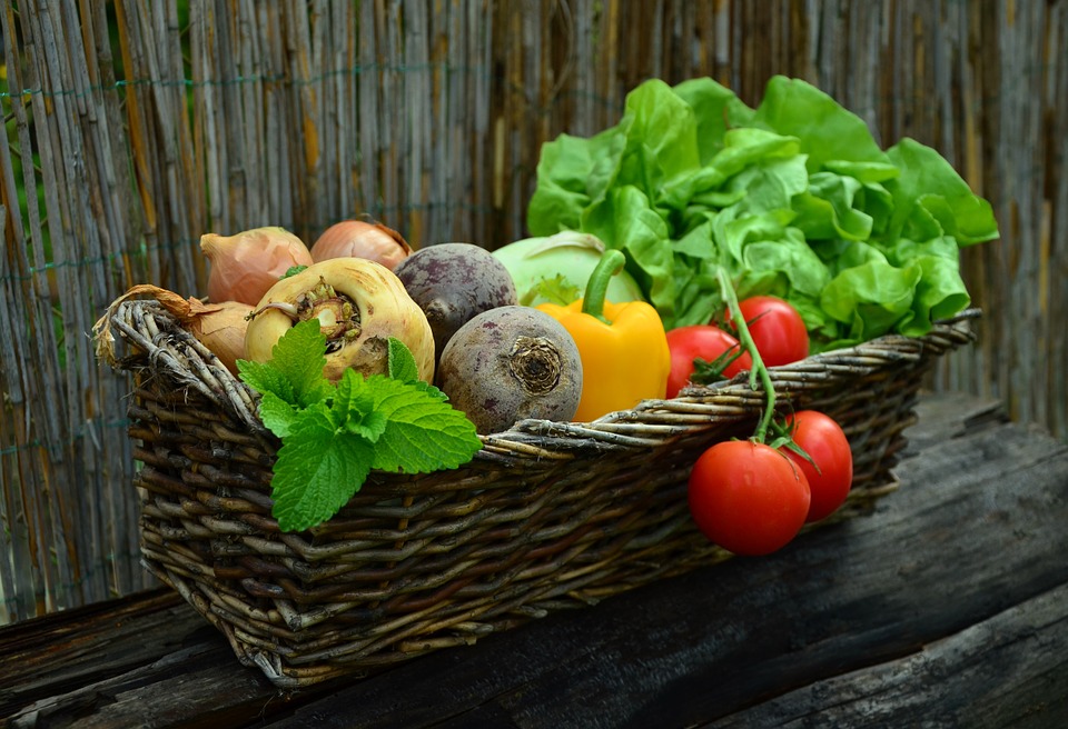 Légumes bio de M. Villette