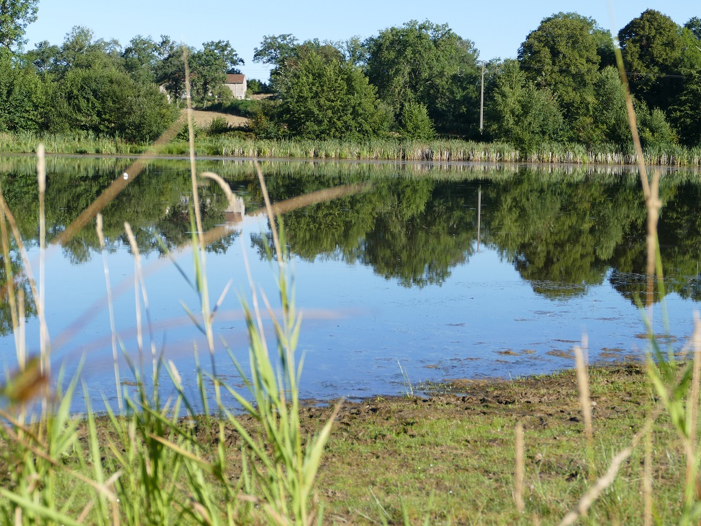 Plan d'eau de la Naute