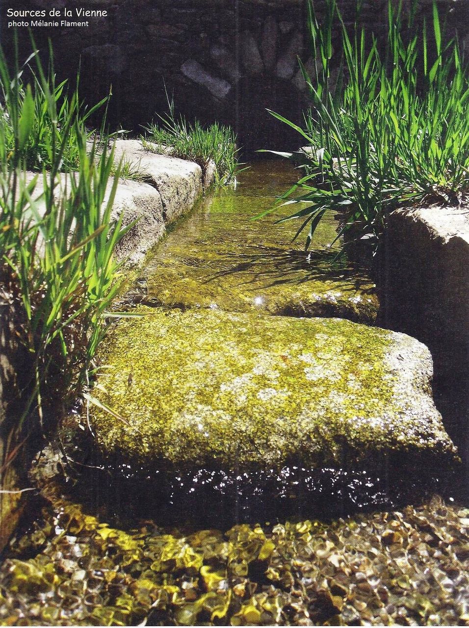 Les Sources de la Vienne