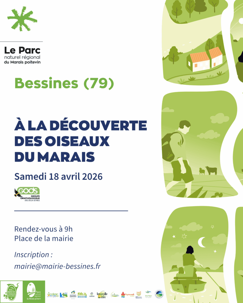 Balade nature "Découverte des oiseaux du marais" à Bessines