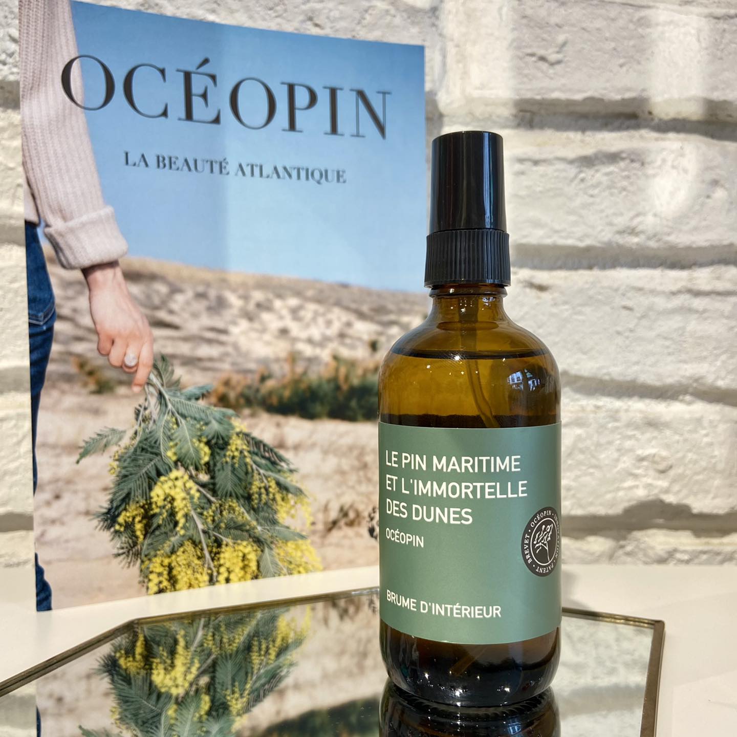 Océopin