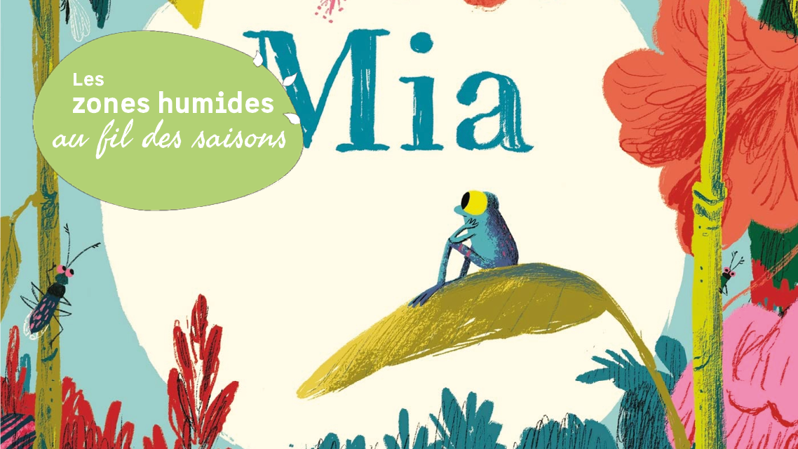 Les zones humides au fil des saisons : les petits déjs nature des enfants : grenouilles et Cie