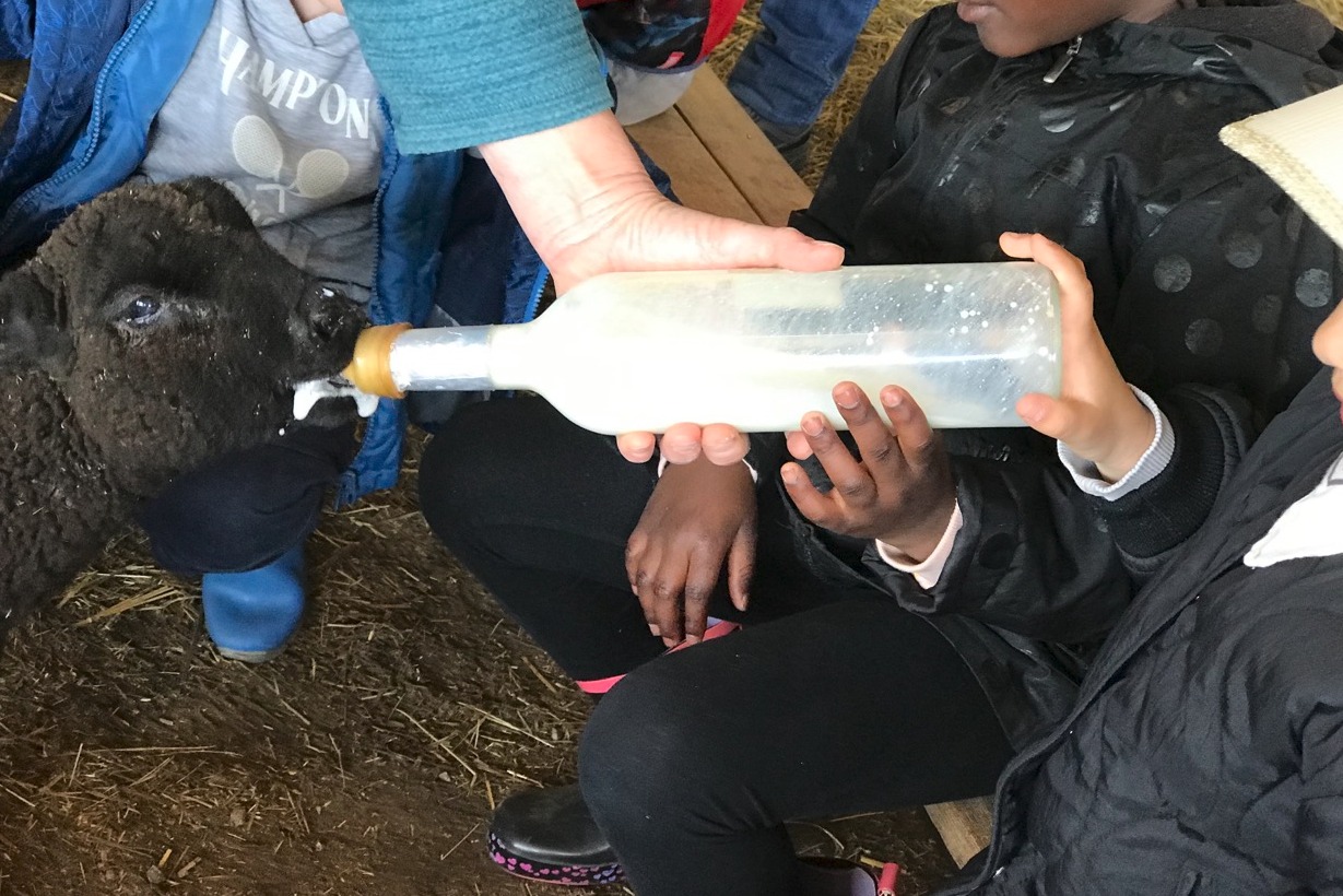 COMPLET - Les Sabots de laine accueillent le printemps