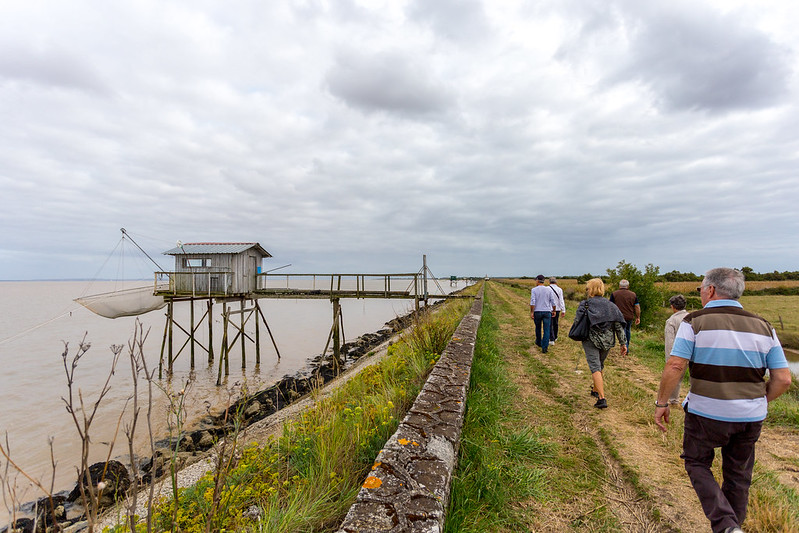 Bord d'estuaire