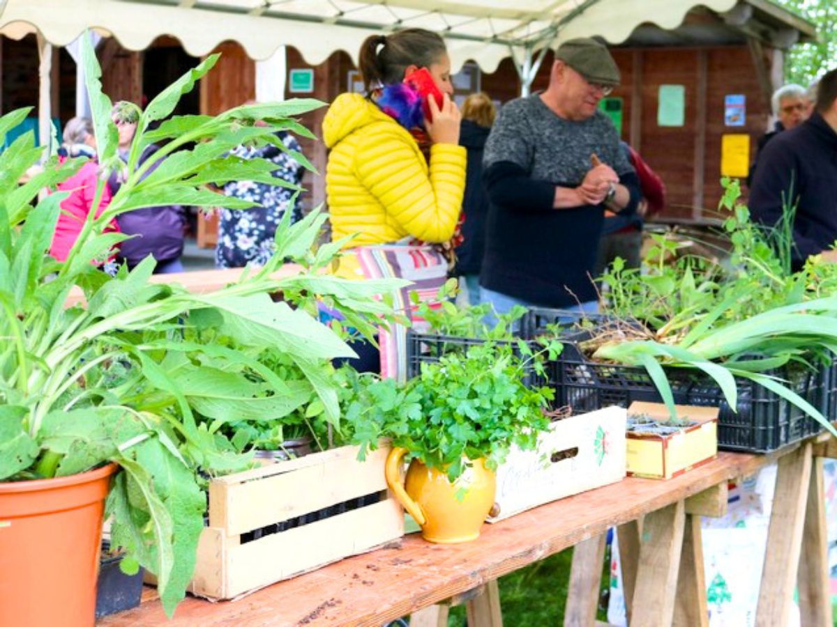 Troc des jardins - Pageas Loisirs