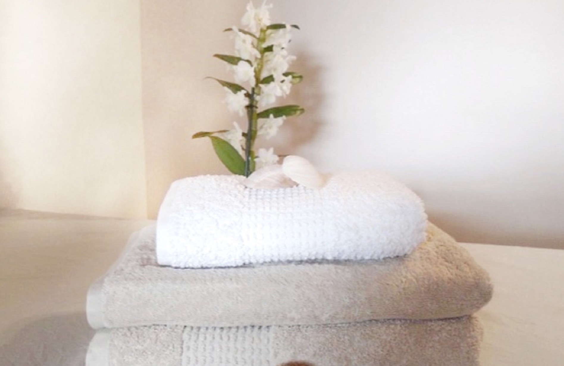 ROS LOCATION Conciergerie