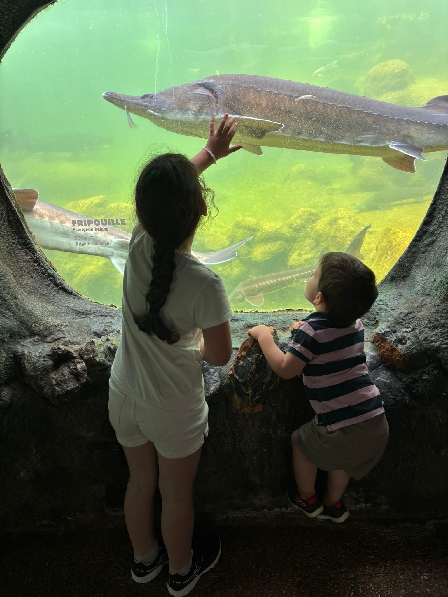 Aquarium du Périgord Noir - Univerland Le Bugue