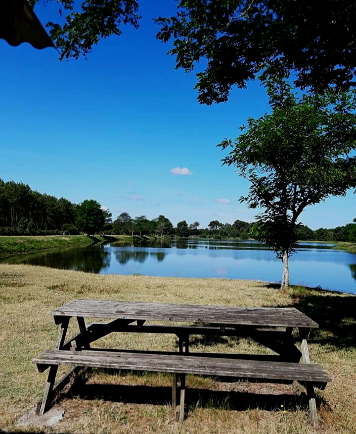 Etang de la Levade