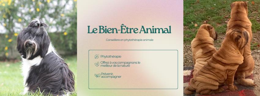 Caroll, conseillère en bien-être animal et naturopathe animalière