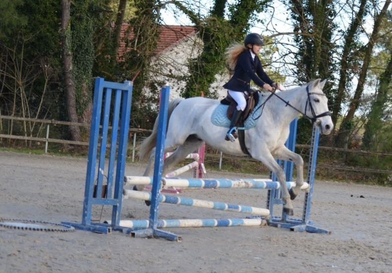 Compétition sauts d'obstacles 