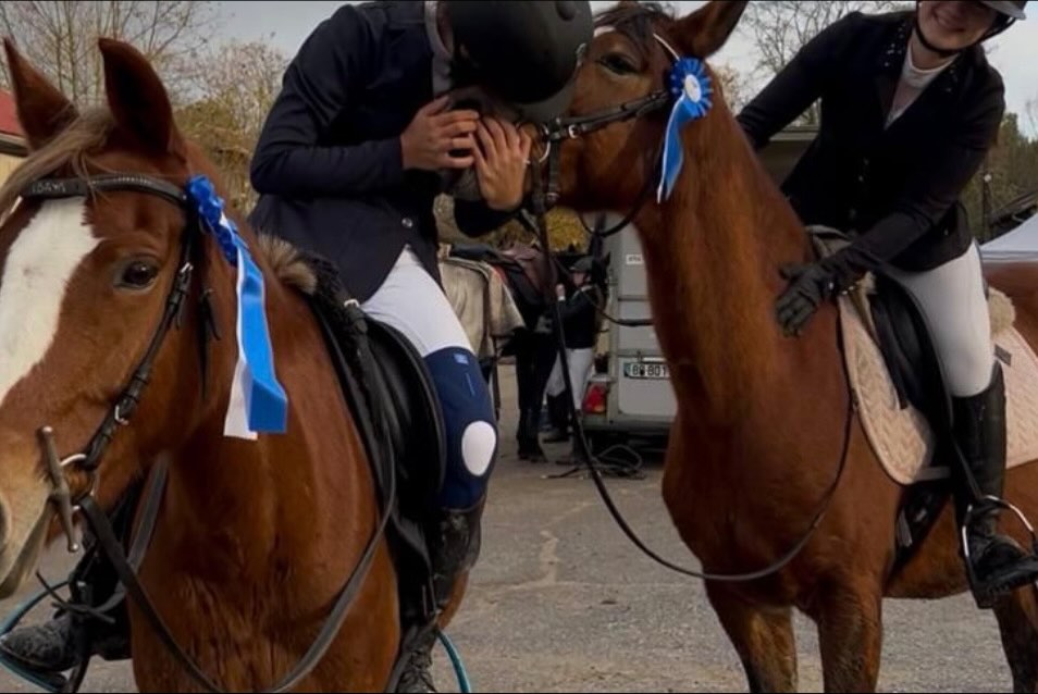 Compétition sauts d'obstacles 