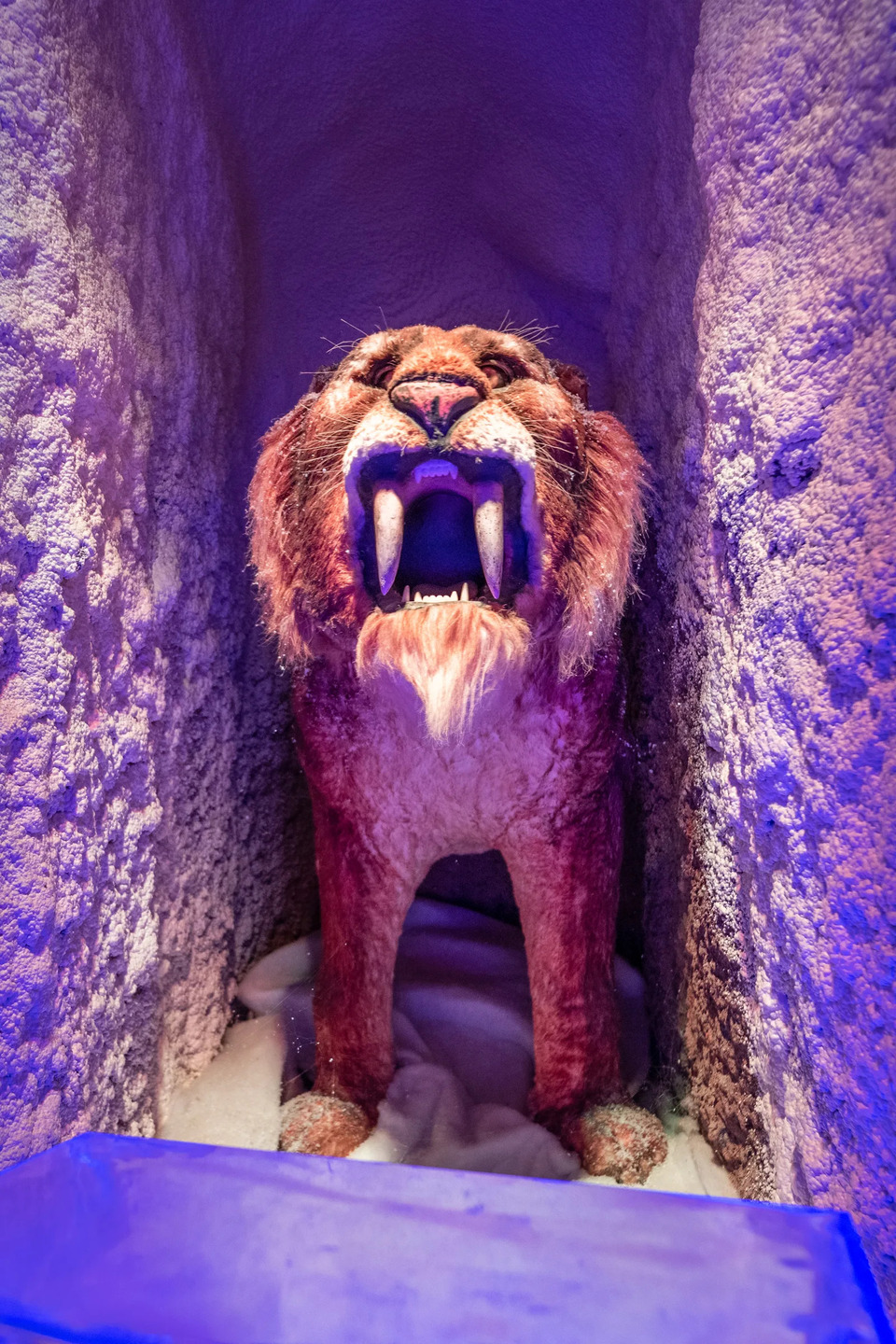 Le Labyrinthe Préhistorique - Univerland Le Bugue