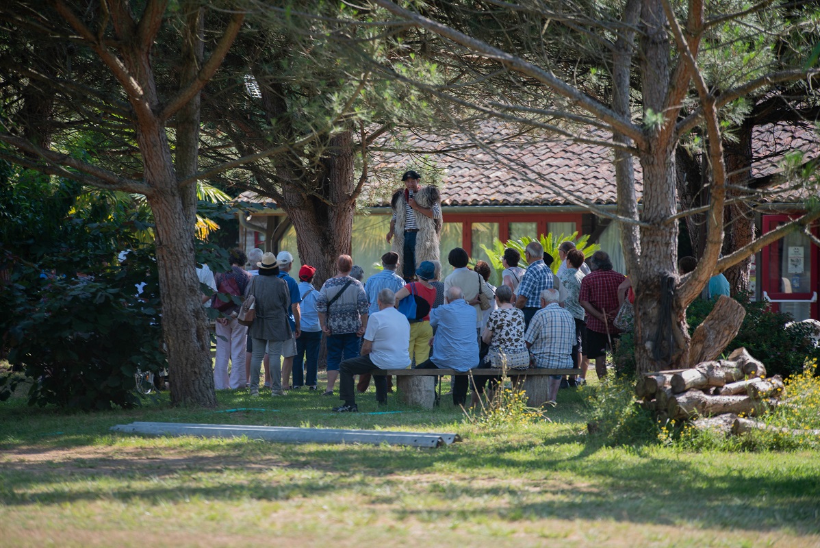 Ganaderia de Buros