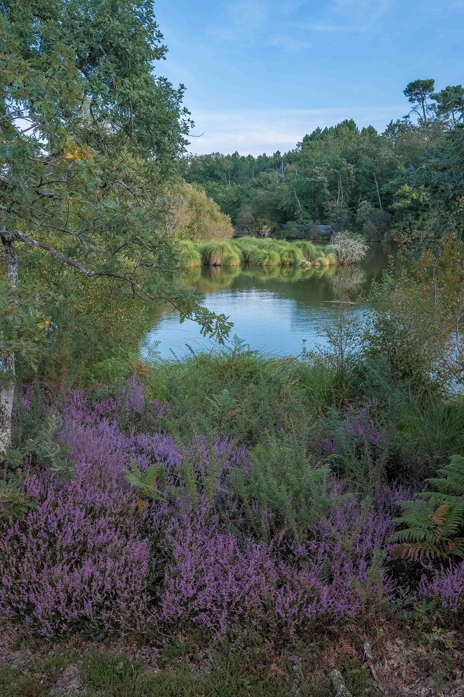 Site des Neuf Fontaines