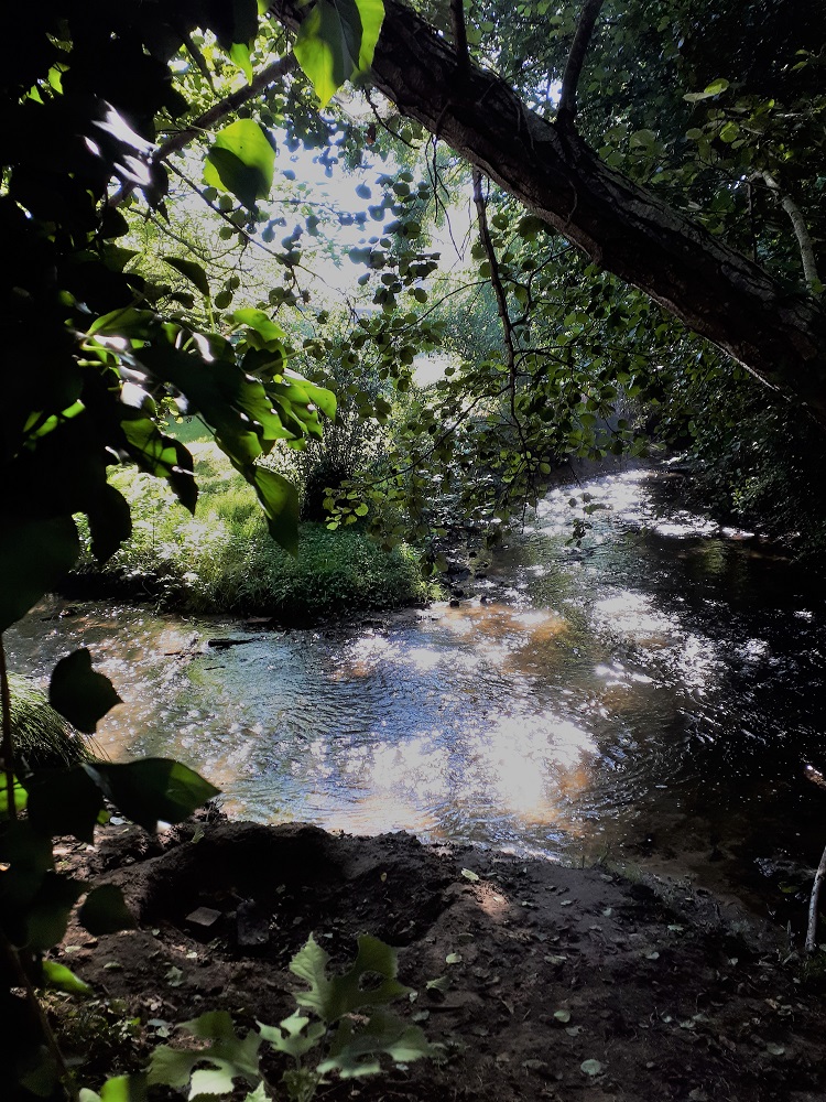 Site de Castets