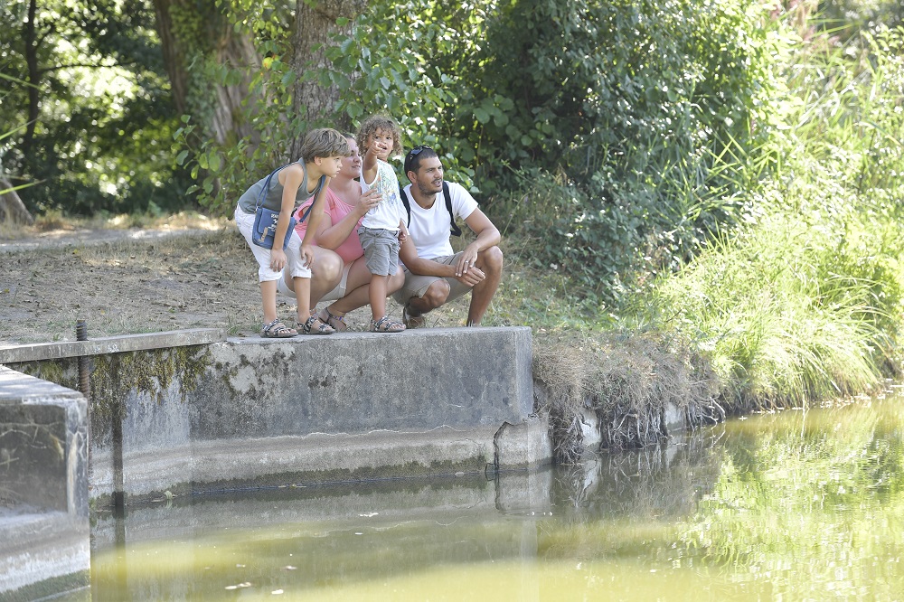 Etang de Massy