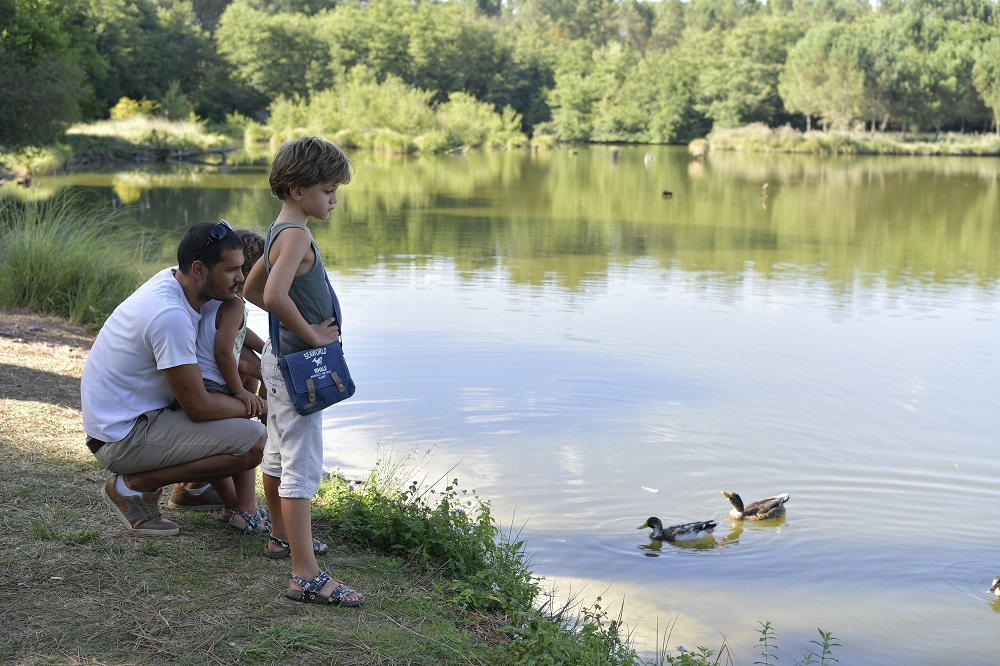 Etang de Massy