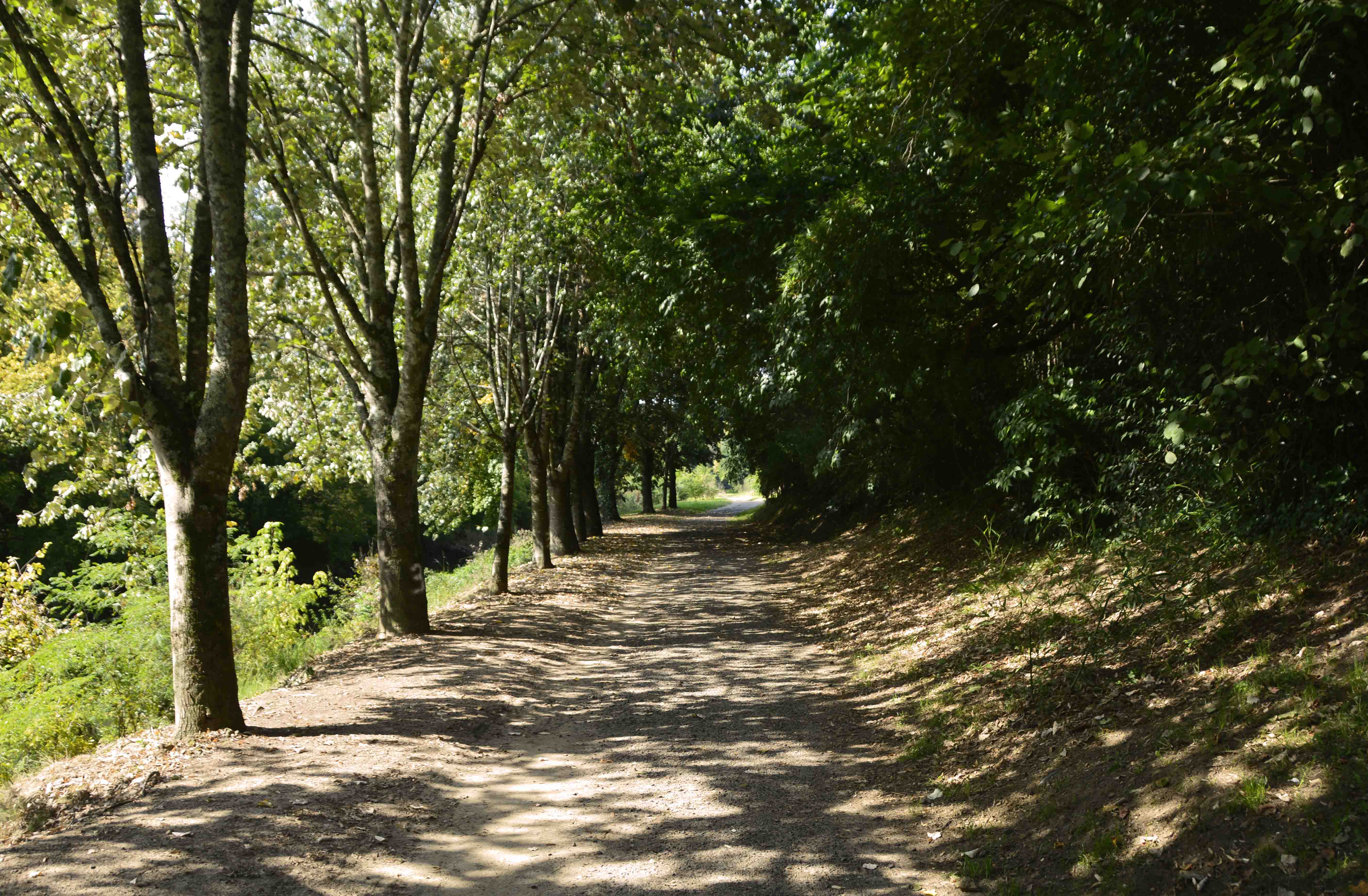Le chemin de halage