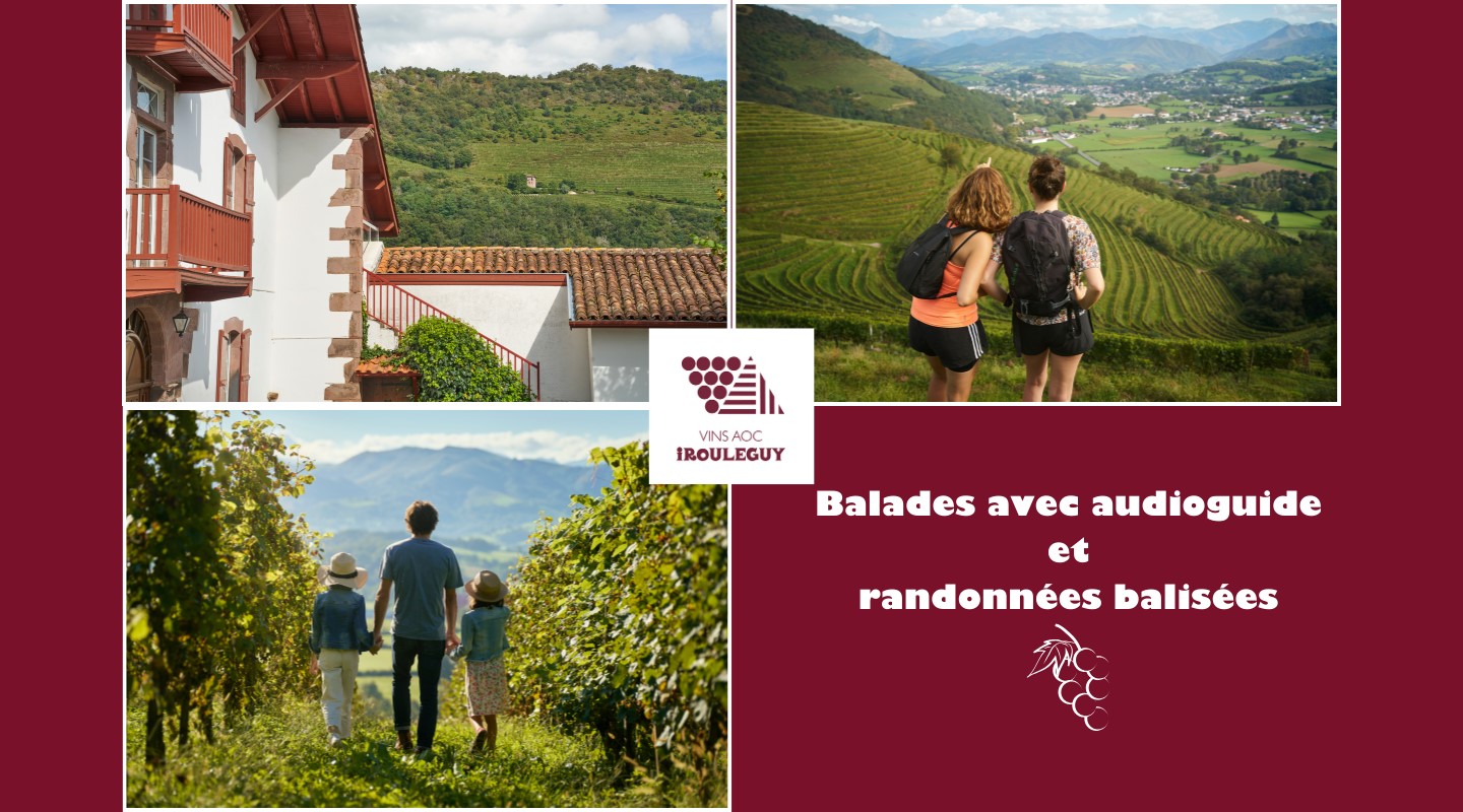 Syndicat des Vins d'Irouléguy