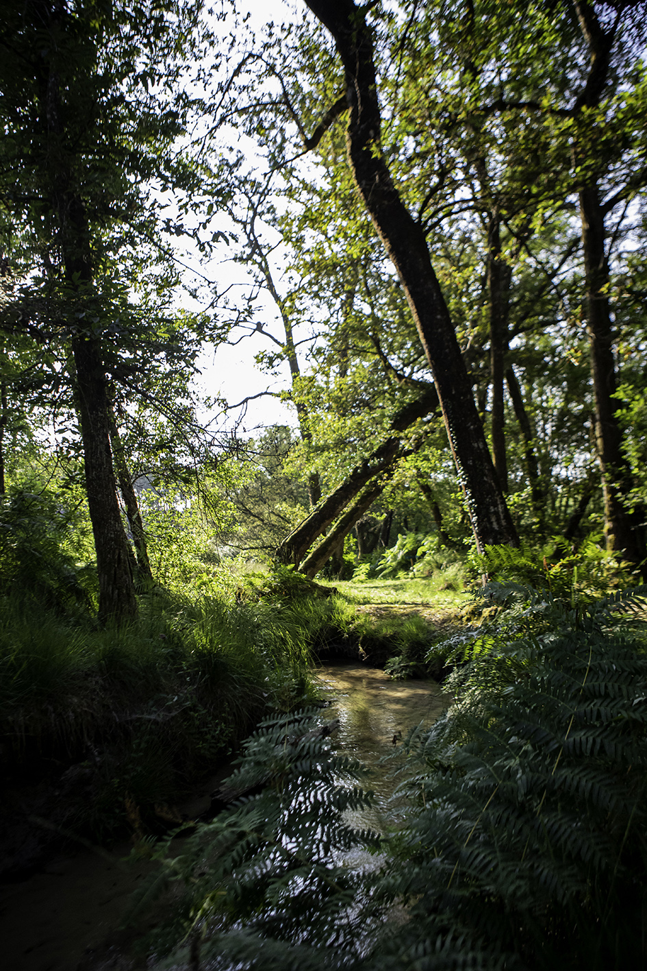 Centre de Biodiversité Jean Rostand