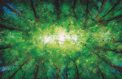 Domaine de Sédières : Naissances des grands mammifères