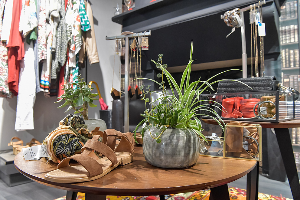 La Fée Maraboutée - photo 3