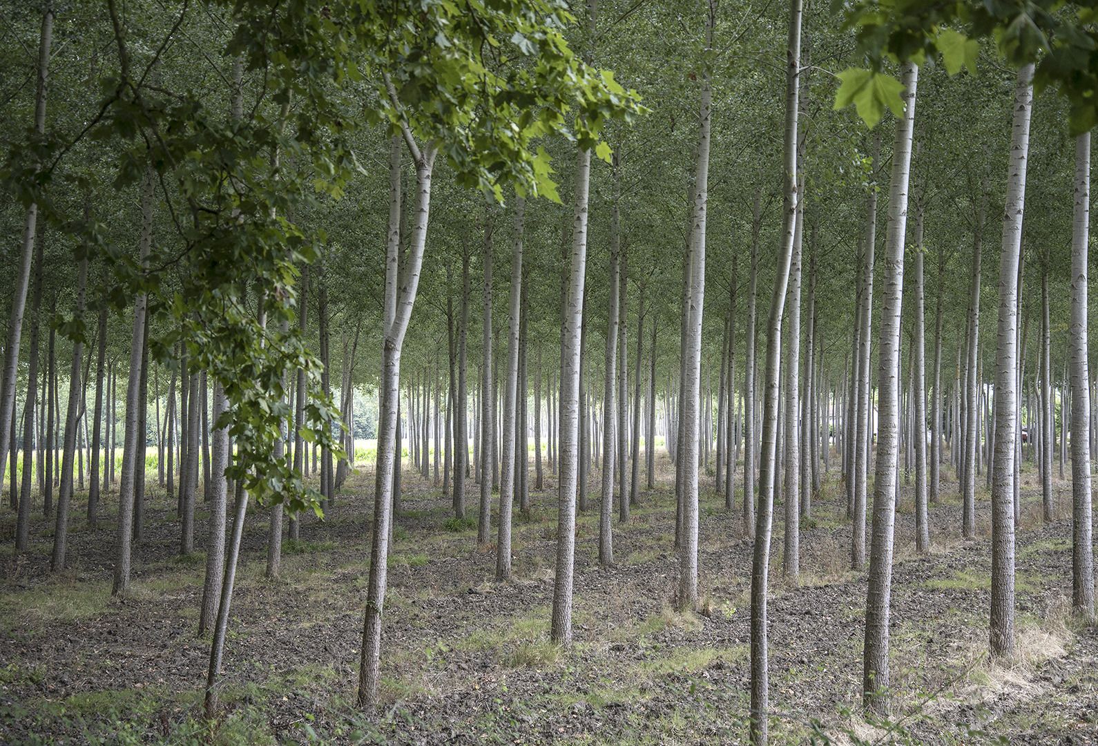 Imagine ta forme des lieux