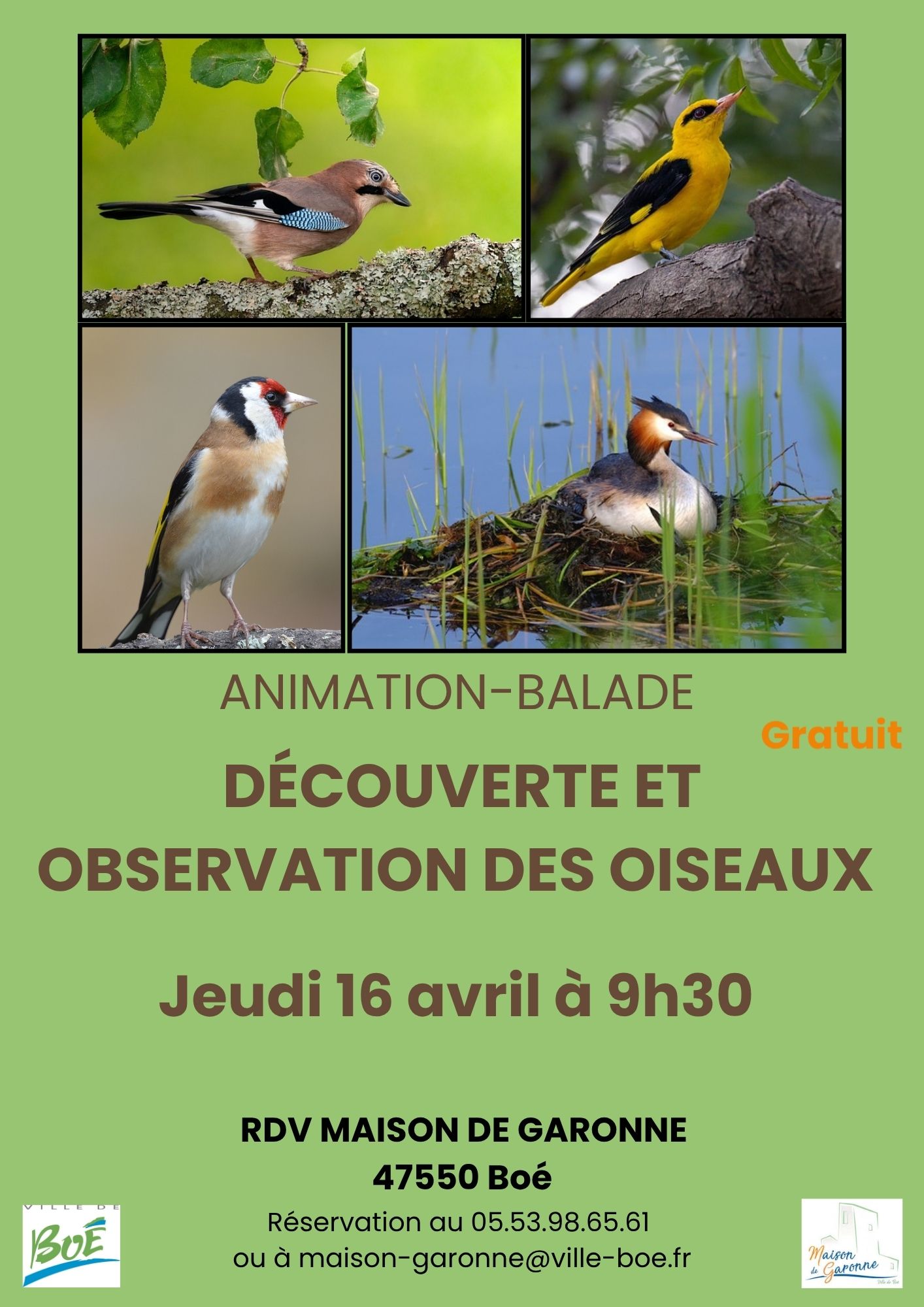 Balade nature sur l’observation des oiseaux