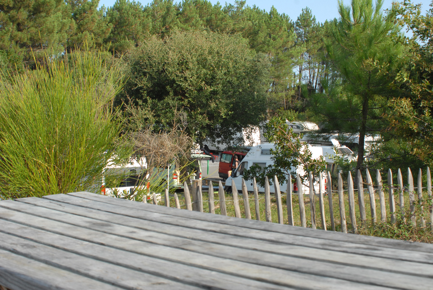 Aire Camping-car Park Messanges Messanges Plage Nord Area