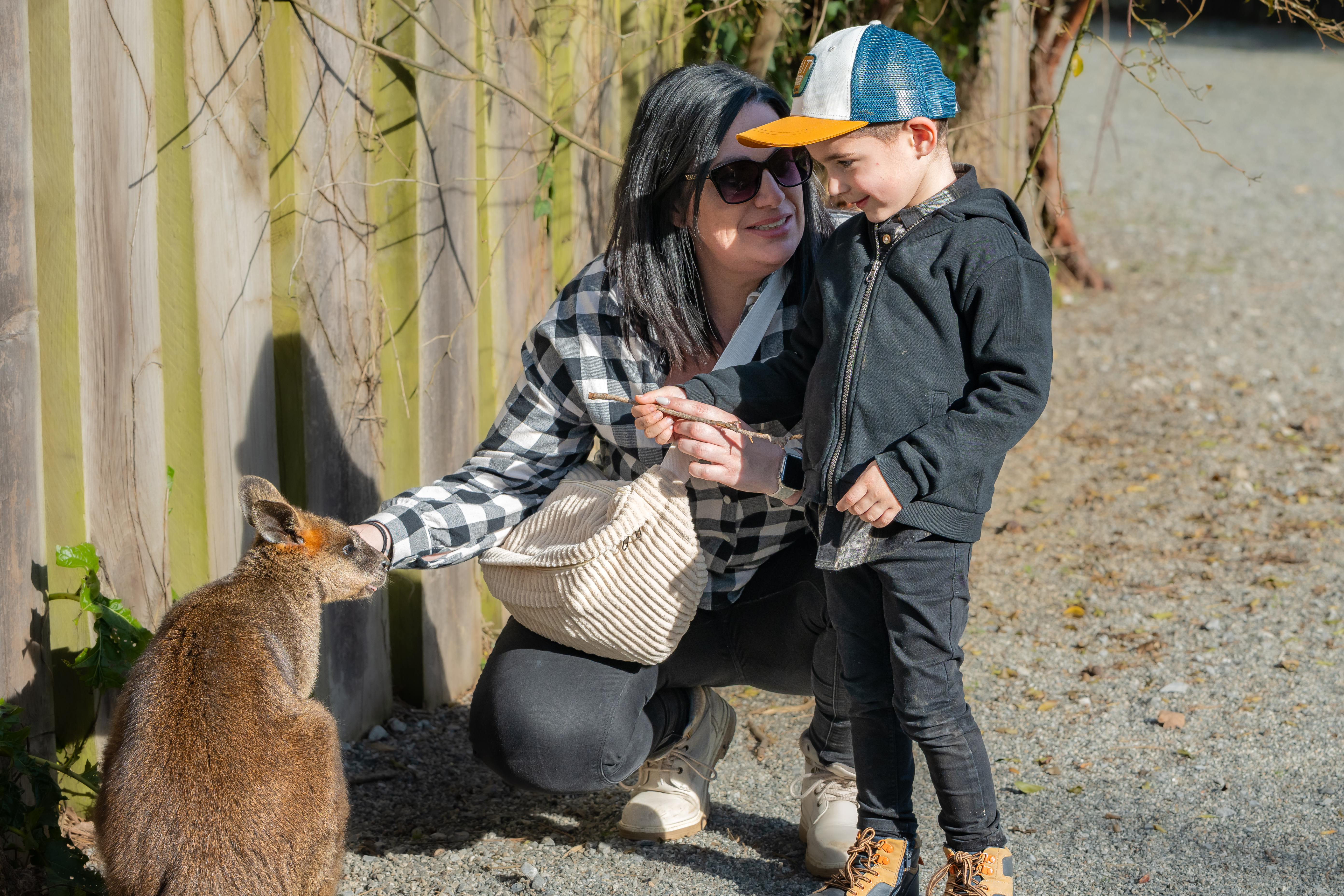 Zoo d'Asson