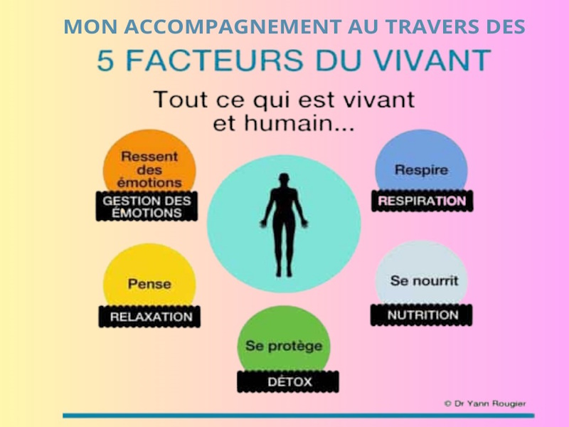 A VOTRE PLEINE SANTE