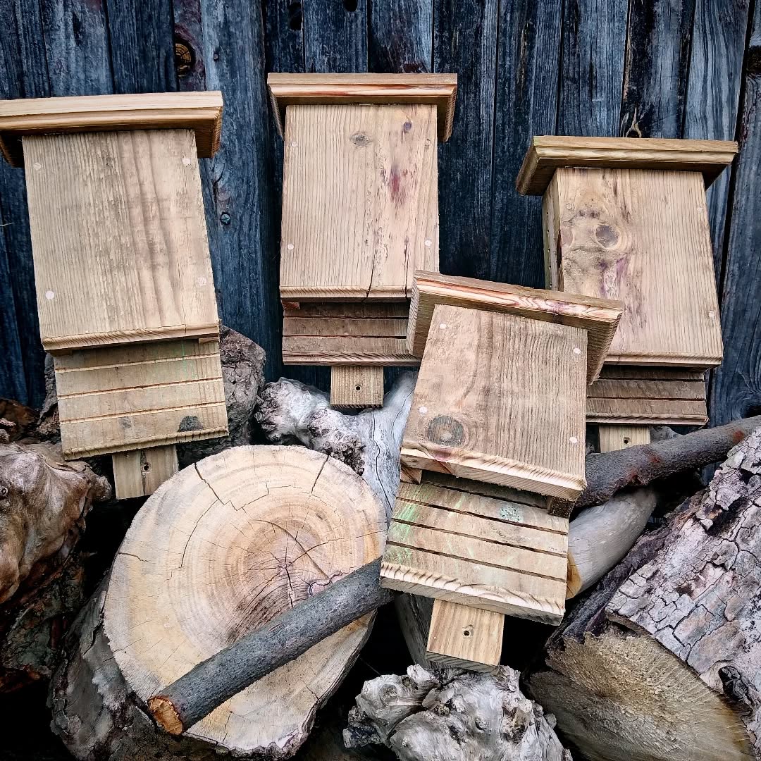 Un abri pour nos amies les chauves-souris