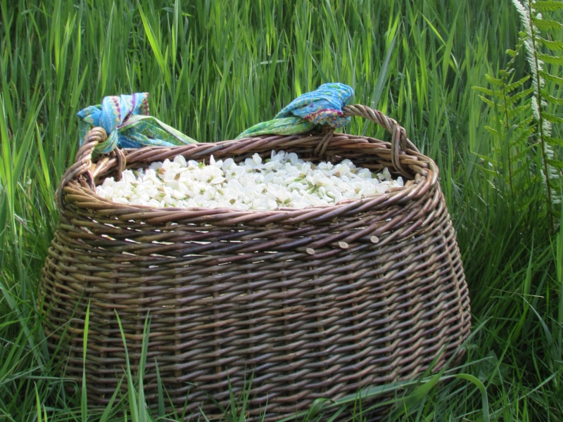 La Ferme Brasserie Moustous, Cours-les-Bains - photo 11