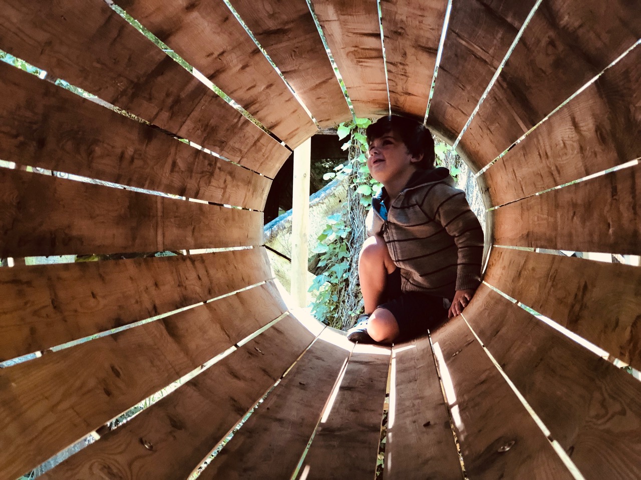 Le Bois des Lutins