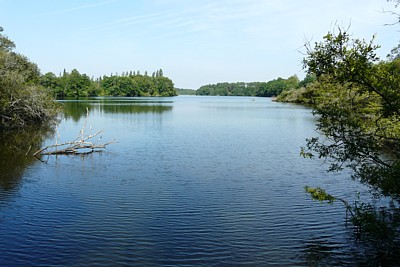 Act-reserve etang noir 2