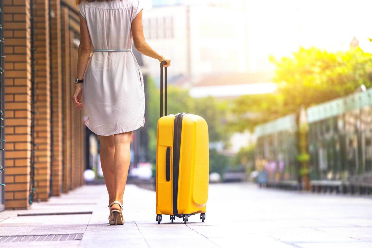 Bagage Edmond Voyage
