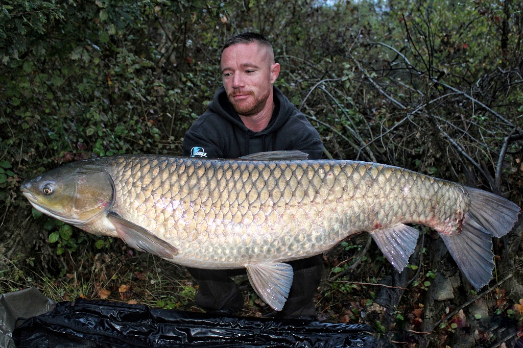 Etang de Gamarde